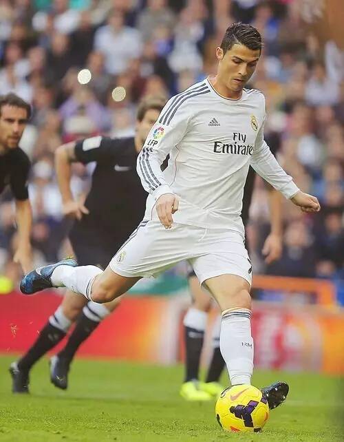 反观莱斯特 反观莱斯特