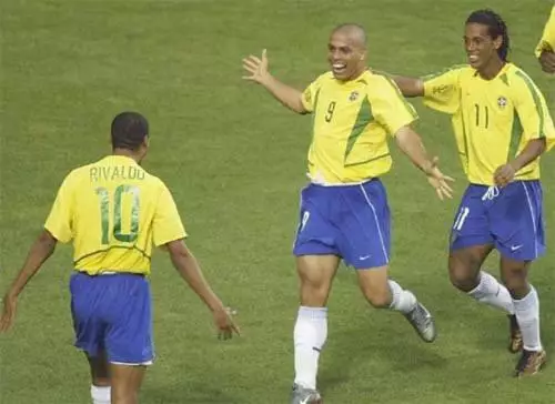 他们不仅在 他们不仅在