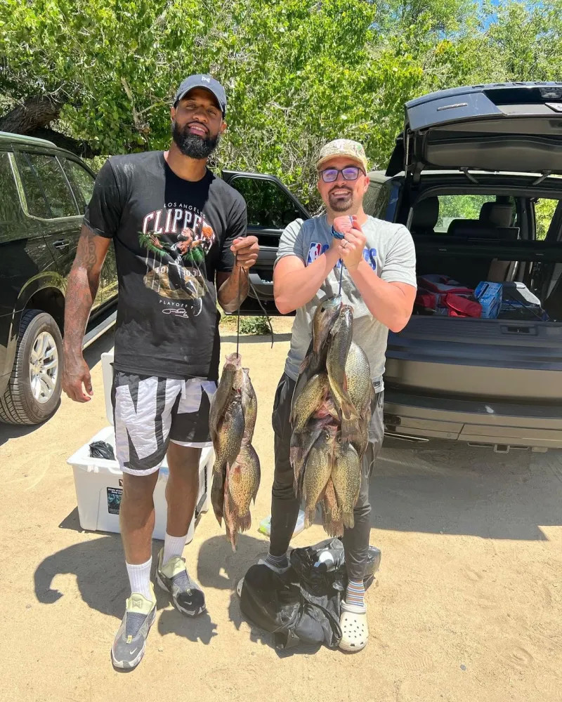 更适合做S 更适合做S