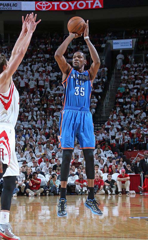 下半区草龙 下半区草龙