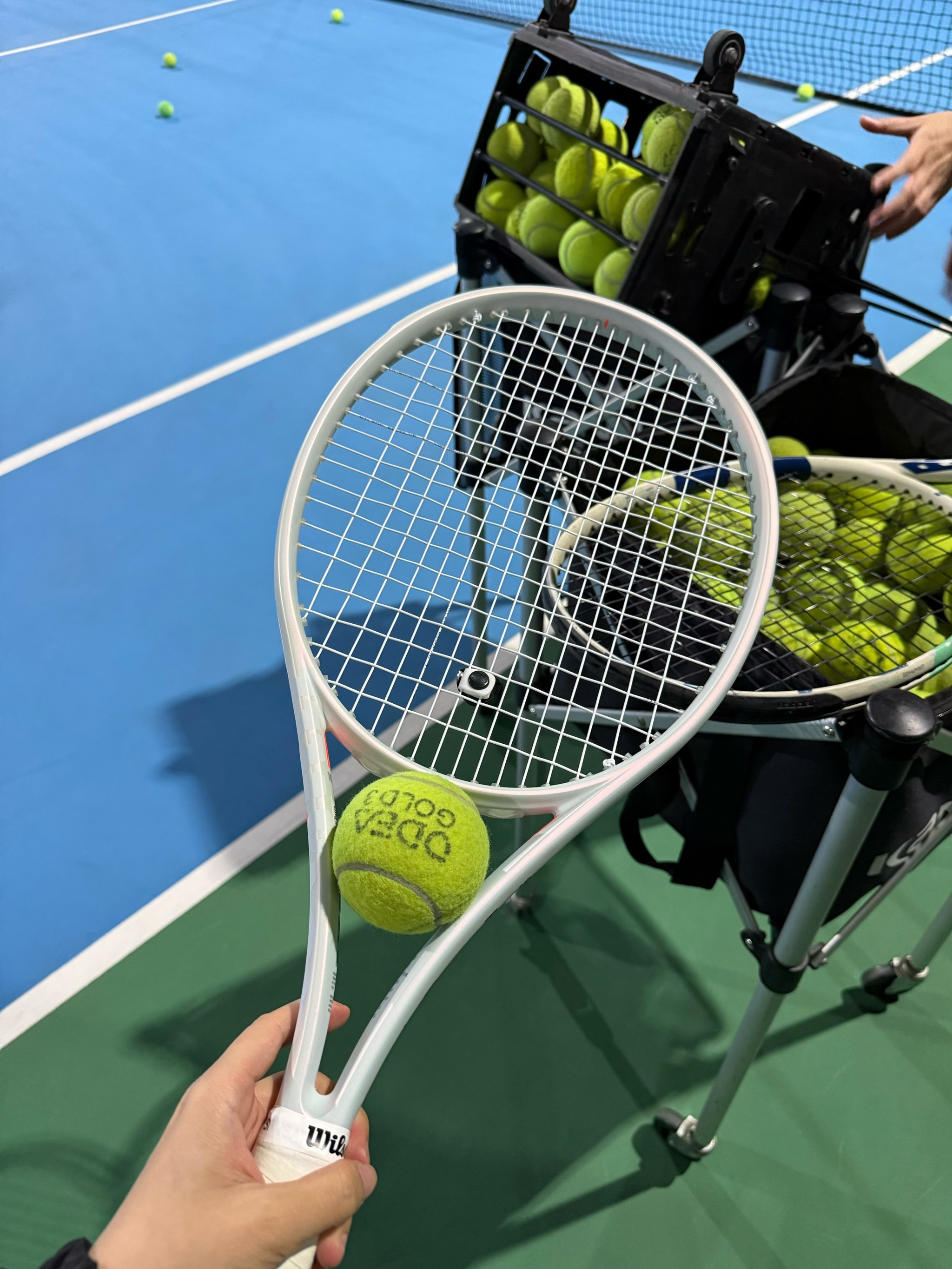 边翼卫不盲 边翼卫不盲